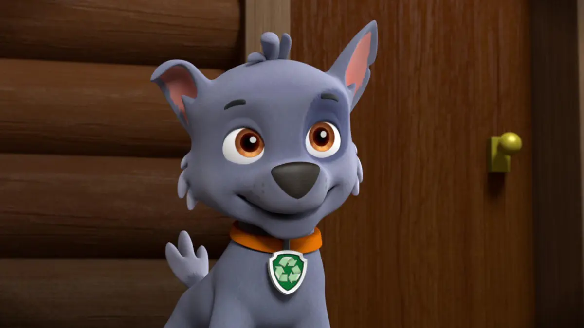 Rocky on Nickelodeon's "PAW Patrol"